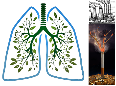 Healthy Air for Healthy Life